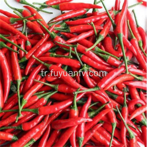 Hotsale Baharatlı Chaotian Chili